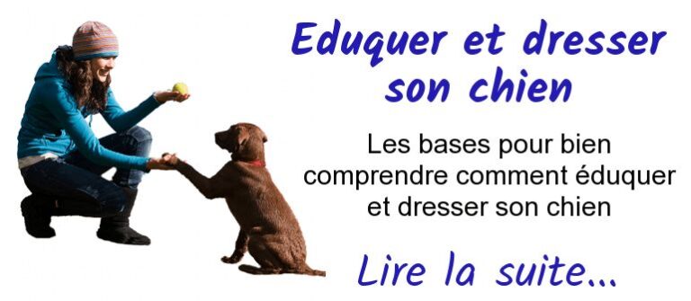 comment dresser un chien