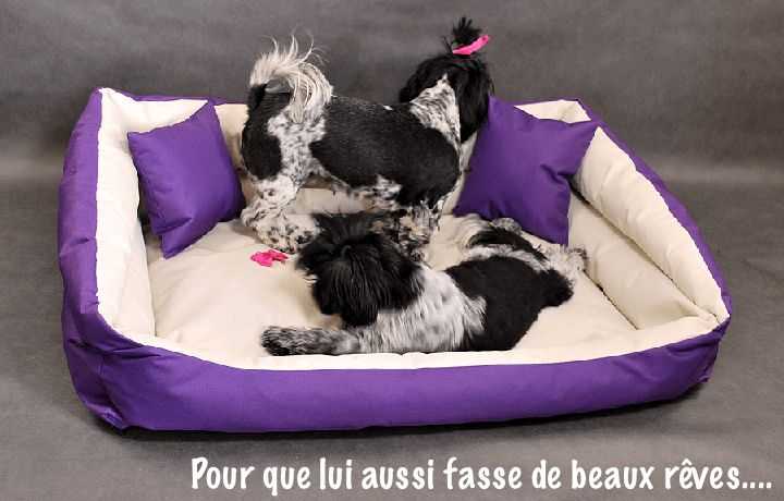 conseils sur le choix des modeles de lit pour chien