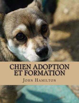 formation de chien pour les amoureux des chiens