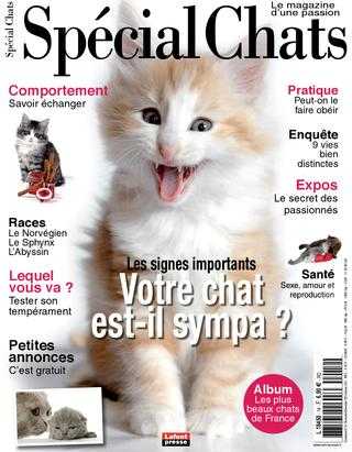 comment former un chat a la toilette 3 etapes pour apprendre a former des chats auxquels vous ne croirez pas