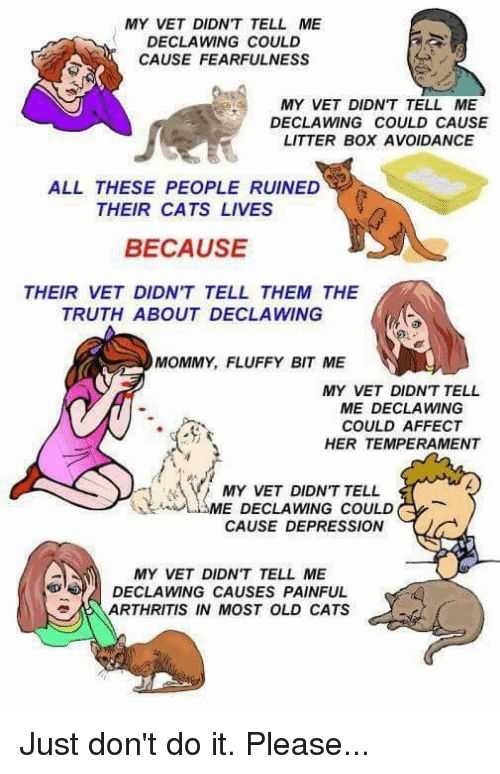 declawing chats