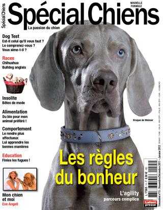 examen sitstayfetch coup doeil sur le livre de dressage de chiens le plus vendu sur le net