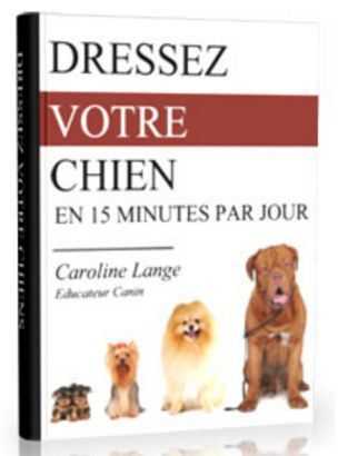 dressage de chiots secrets a la formation de chien