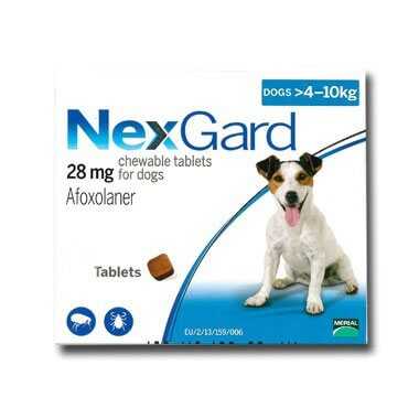 tout ce que vous devez savoir sur nexgard for dogs