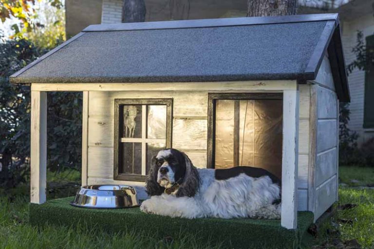 wooden doghouses ou placer votre maison de chien
