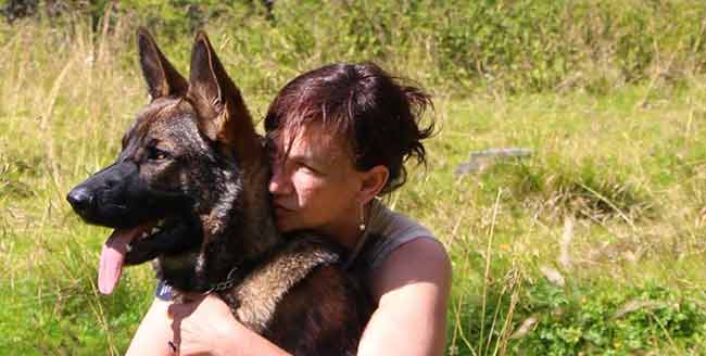dressage de chiens la methode mutt un plan insense pour changer le comportement de votre chien