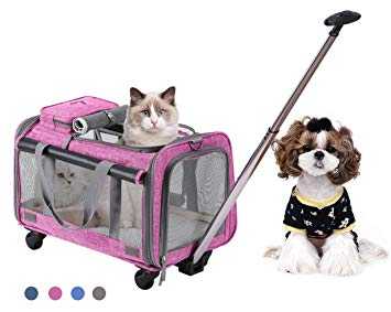 partir voyager avec votre animal de compagnie porter des poussettes de chien pour le transport