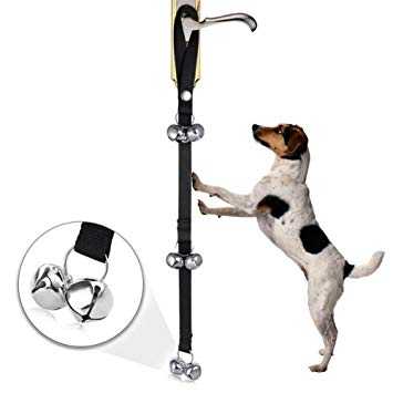 apprentissage de la proprete de votre chiot a laide de cloches de dressage de chiens
