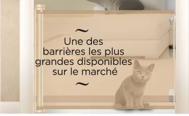 barriere de chat