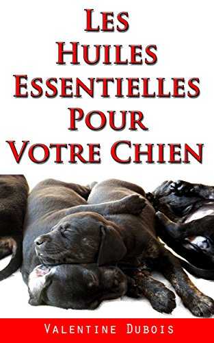grands moyens dutiliser des huiles essentielles pour votre chien