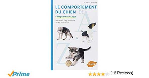 les secrets de la formation de chien fonctionnent ils sur les chiens tetus