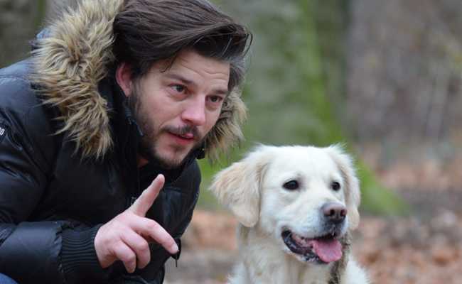 quest ce quun dresseur de chien certifie