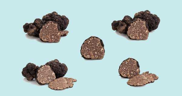 bienfaits pour la sante des truffes
