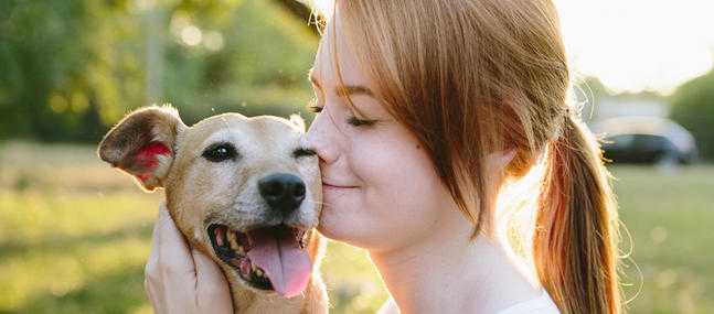 dresser votre chien limportance de la confiance