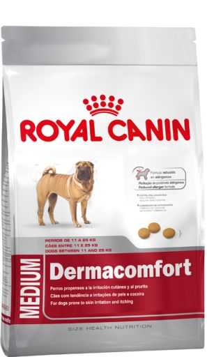 itchy chow chow serie demangeaisons et demangeaisons