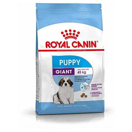 royal canin pet food fournira la meilleure nutrition a votre animal de compagnie