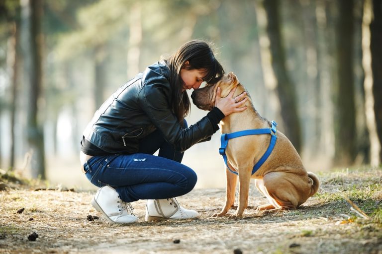 2 facons differentes detouffer les aboiements agacants de votre chien et de donner a vos oreilles une paix et une tranquillite