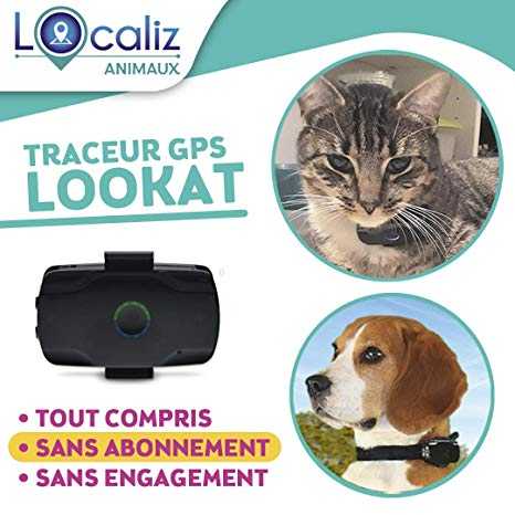 accessoires que les gens achetent habituellement pour leurs animaux de compagnie