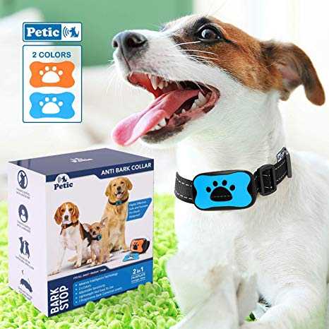 arretez les aboiements de votre chien avec un spray respiratoire