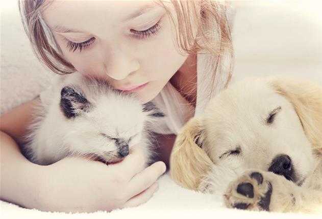 chiens chats et enfants