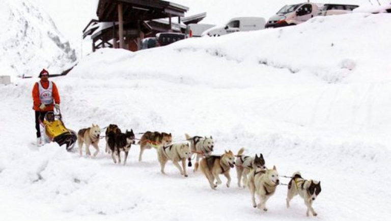 course en traineau a chiens grand odyssey avoriaz