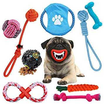 dog tips ce quil faut rechercher lors de lachat de jouets pour chiens pour les macheurs agressifs