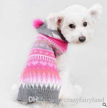 pulls pour chiens pas seulement pour le spectacle importants pour leur sante