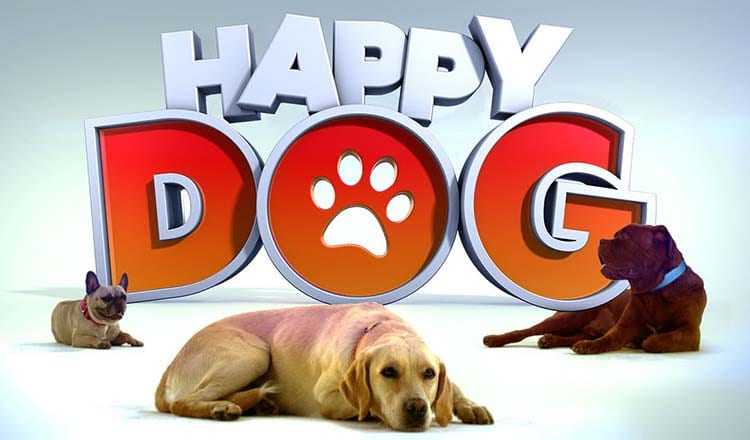 defis de lassurance des proprietaires et des chiens