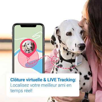 detecteur de mouvement de chien mon ecorce est bien pire que ma morsure