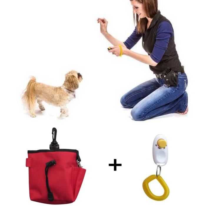 dressage de chiens avec friandises