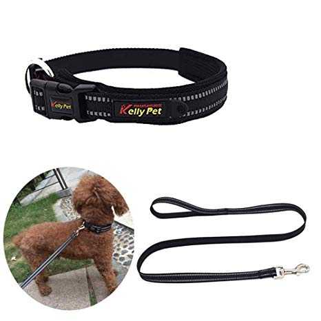 les colliers de chien reflechissants protegent votre animal de compagnie