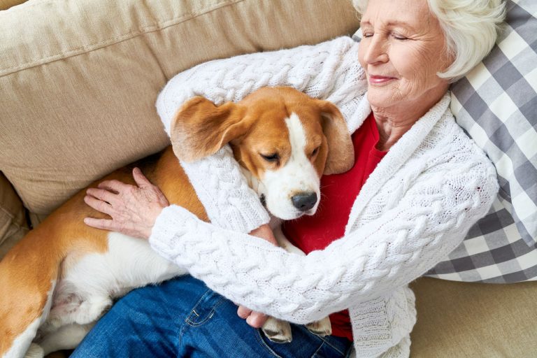 les nombreux avantages pour la sante des chiens comme animaux de compagnie