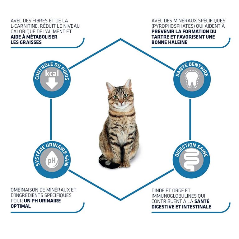 sante entiere pour chats heureux par sandy arora 1