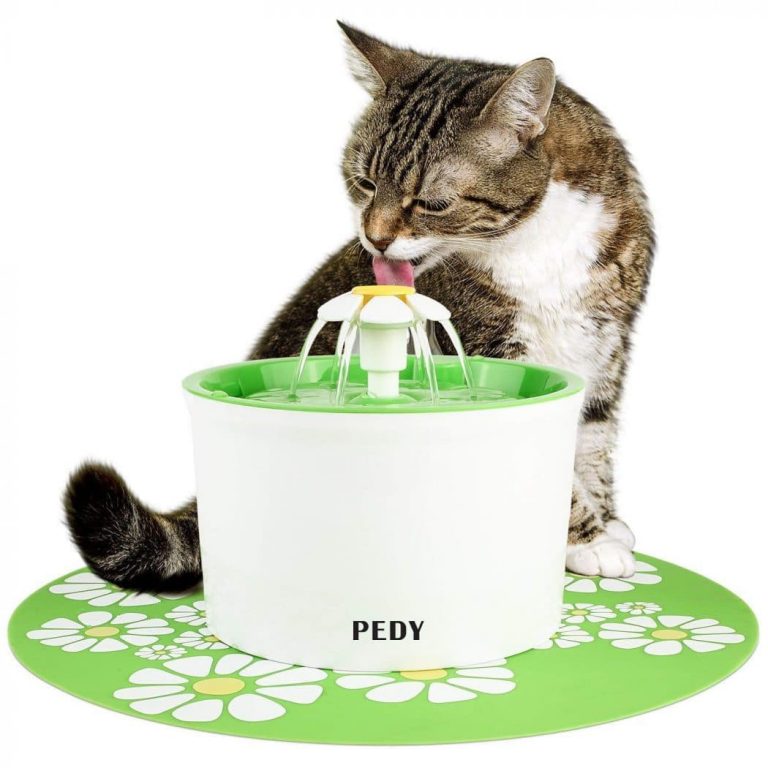 comment choisir la meilleure fontaine de chat pour votre chat et pourquoi les veterinaires les recommandent