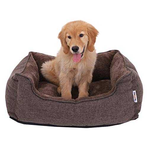 dresser des chiots dameranian le bon etat desprit dont vous avez besoin pour former votre chien dameranian