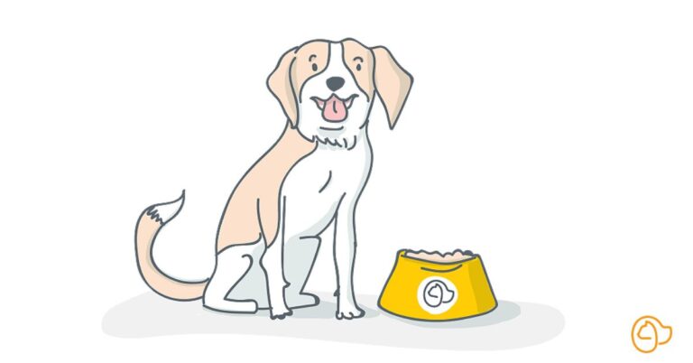 guide du proprietaire dun chien sur les acides gras omega 3