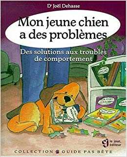 problemes de comportement de chien solutions et actions