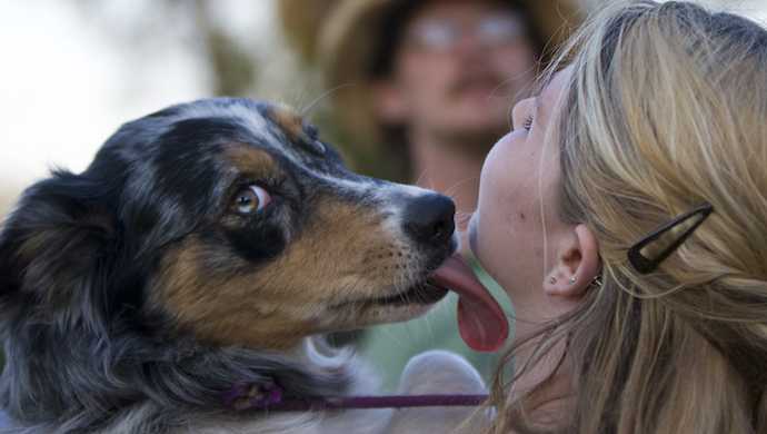 que signifie lecher un chien et quelles sont les consequences dun lechage incontrolable