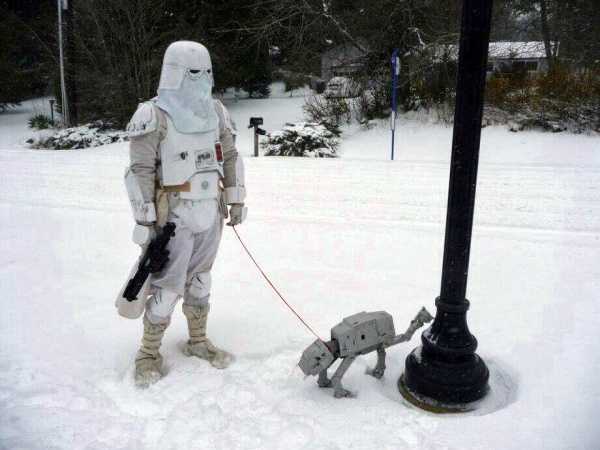 chien star wars