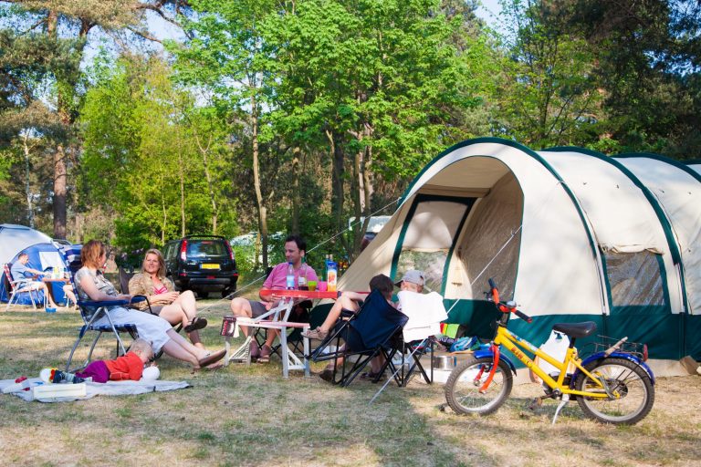 camping avec des chiens etiquette du terrain de camping