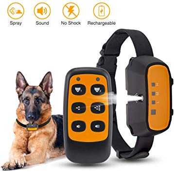 colliers electriques pour chiens une alternative cruelle a lentrainement des chiens