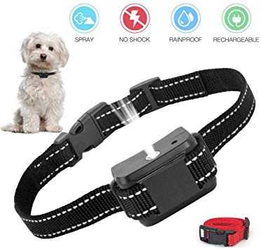 comment utiliser un collier pour chien a la citronnelle pour arreter un aboiement excessif