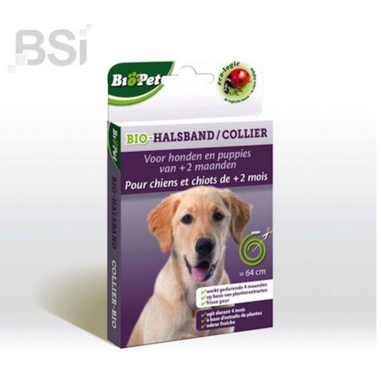 les cinq meilleurs aliments biologiques pour chiens en 2012