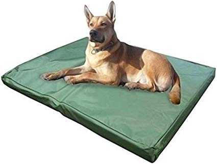 petits porte chiens le lit de votre animal de compagnie