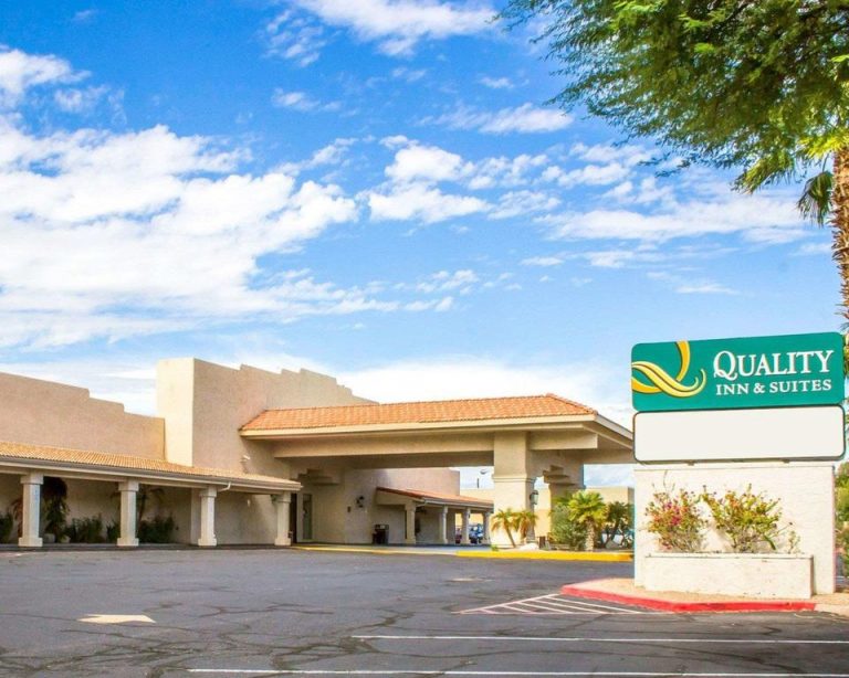 5 attractions acceptant les chiens a lake havasu city