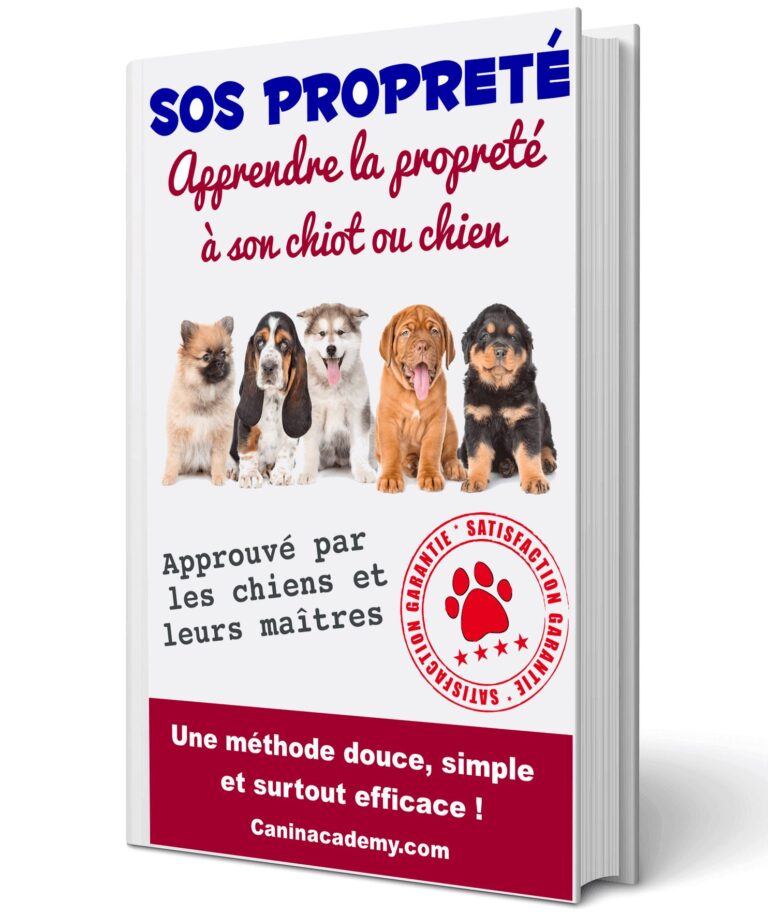 pourquoi former votre chien a la proprete