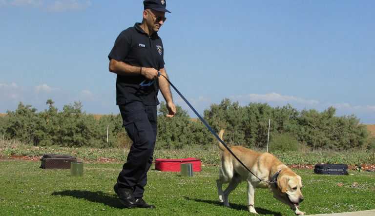 une breve histoire de la formation des chiens policiers
