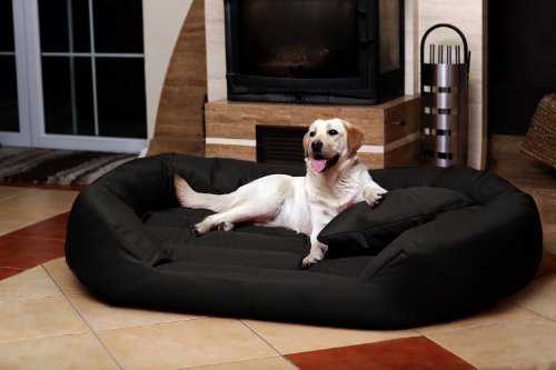 comment maximiser les caracteristiques des lits pour chiens