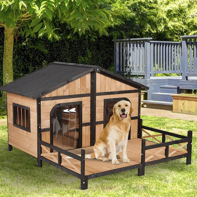 lisolation reflechissante peut etre utilisee dans les maisons pour chiens