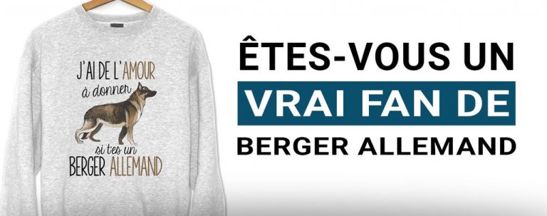 etes vous un amoureux des chiens de berger allemand